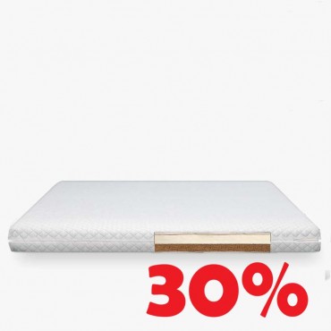 ( 9,5 см ) —  Organi...