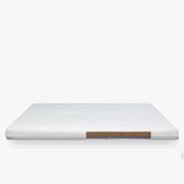 ( 5cm) Wild Bamboo T...