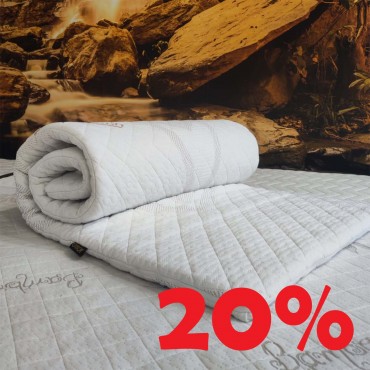 ( 3 cm) - Seagrass T...