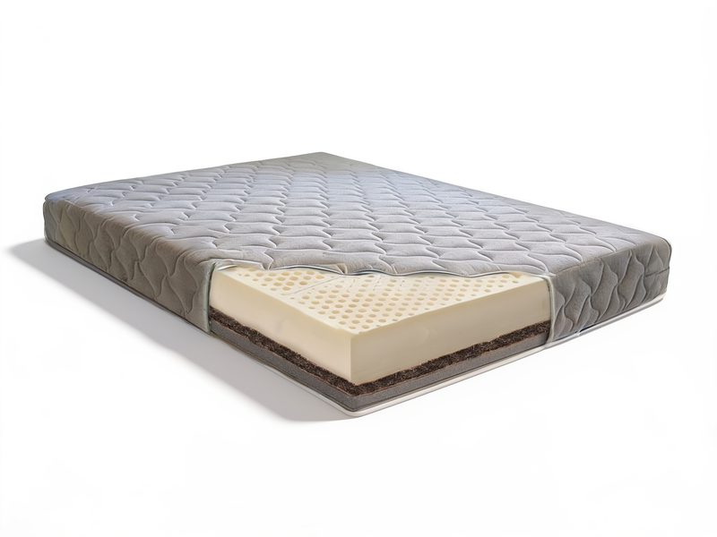 Comfort Cozy Wild