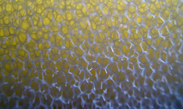 Dryfill putas (Reticulated Outdoor Foam)